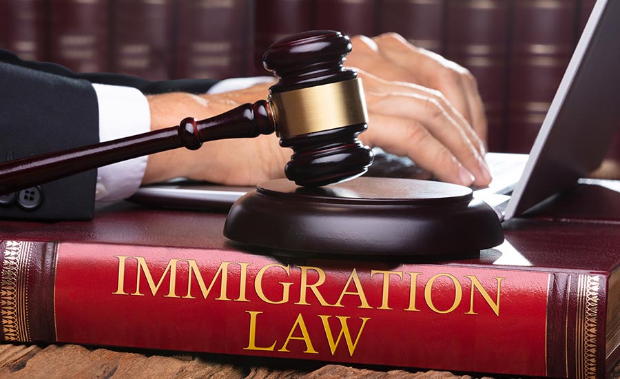 A lawyer working on a laptop with an Immigration Law book next to him​