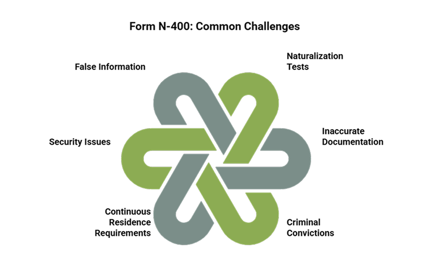 A custom image listing the challenges in the N-400 process