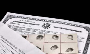 Who Can File N-600? Eligibility & Process Explained