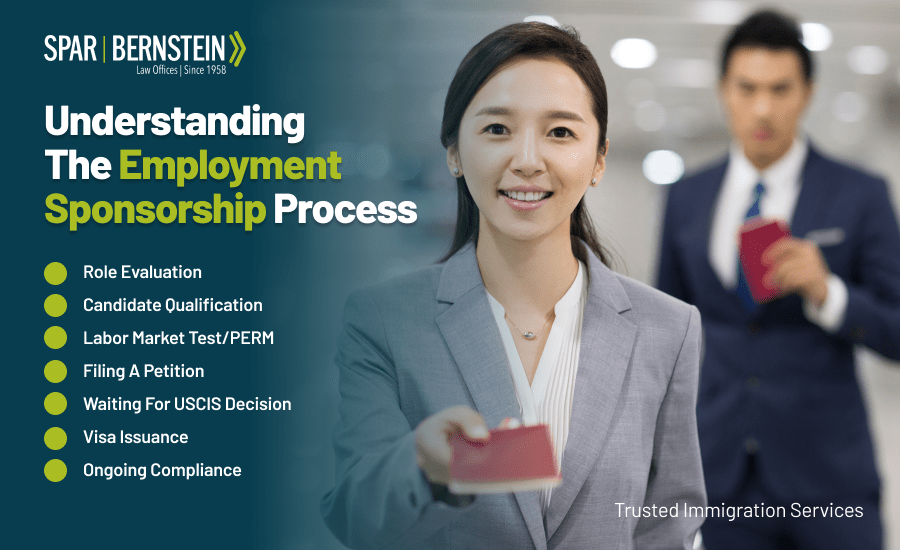 A custom image listing the steps of the employment sponsorship process