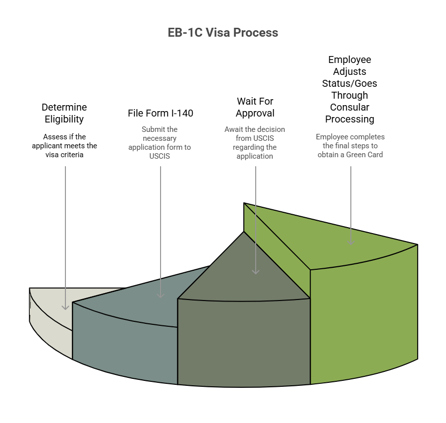 A custom image showing the steps in the EB-1C visa process