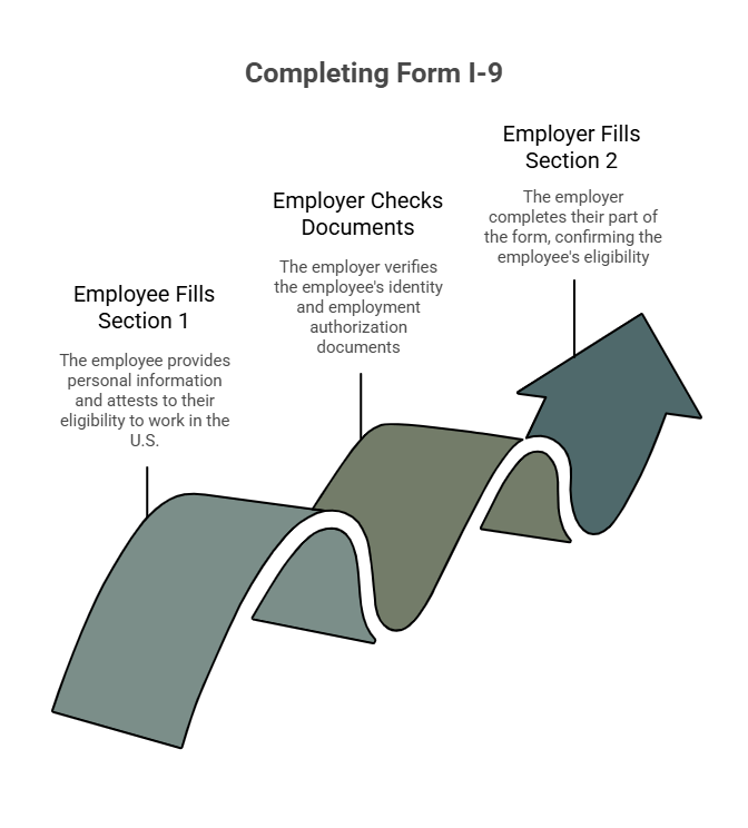 A custom image showing the steps in I-9 process
